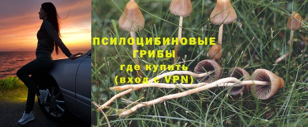 тгк Алексин