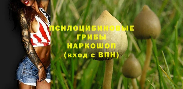 кокаин премиум Ельня