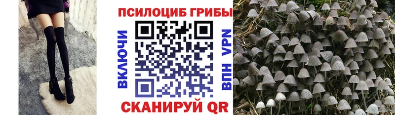 Псилоцибиновые грибы MAGIC MUSHROOMS  цены   Алушта 